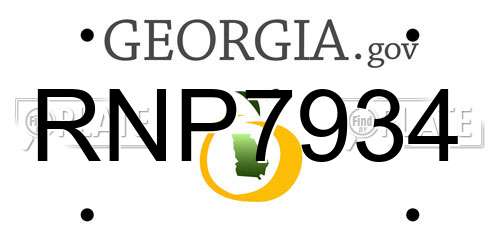 RNP7934 Georgia License Plate