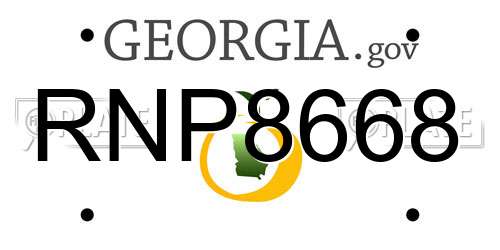 RNP8668 Georgia License Plate
