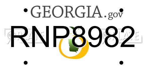 RNP8982 Georgia License Plate
