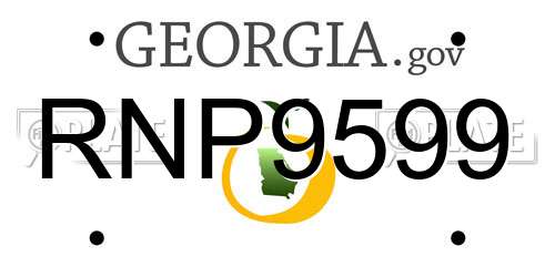 RNP9599 Georgia License Plate