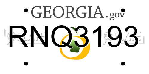 RNQ3193 Georgia License Plate