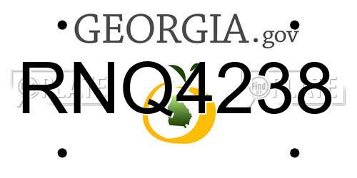 RNQ4238 Georgia License Plate