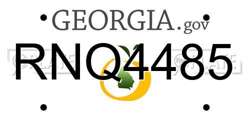 RNQ4485 Georgia License Plate