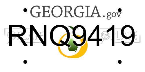 RNQ9419 Georgia License Plate