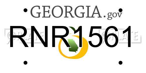 RNR1561 Georgia License Plate