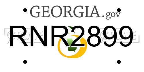 RNR2899 Georgia License Plate