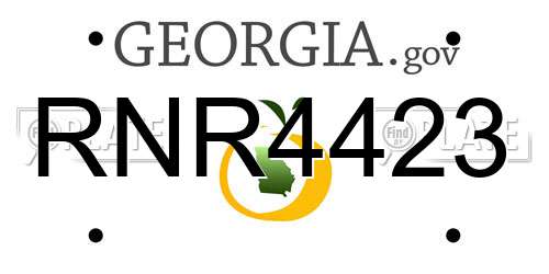 RNR4423 Georgia License Plate