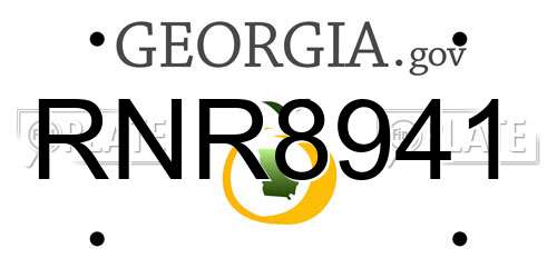 RNR8941 Georgia License Plate