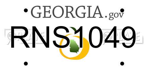 RNS1049 Georgia License Plate