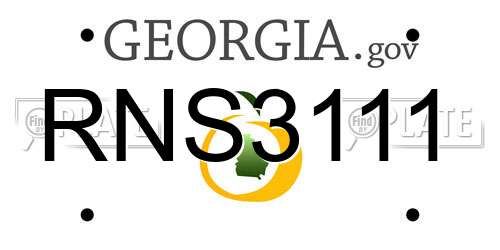 RNS3111 Georgia License Plate