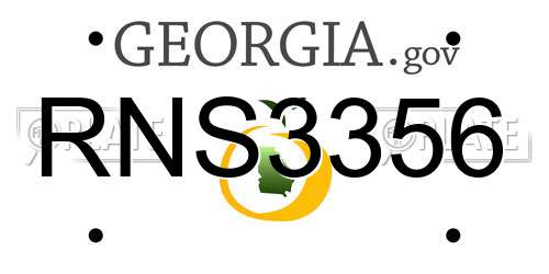 RNS3356 Georgia License Plate