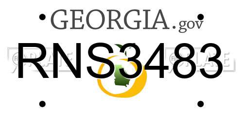 RNS3483 Georgia License Plate