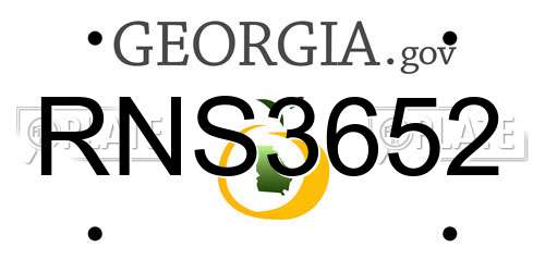 RNS3652 Georgia License Plate