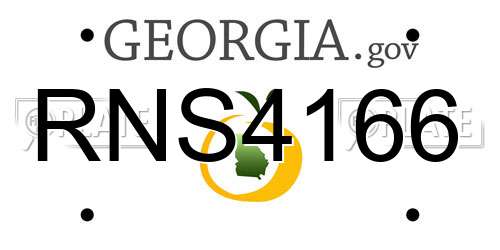 RNS4166 Georgia License Plate