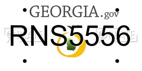 RNS5556 Georgia License Plate