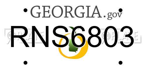 RNS6803 Georgia License Plate