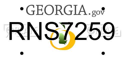 RNS7259 Georgia License Plate