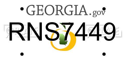 RNS7449 Georgia License Plate