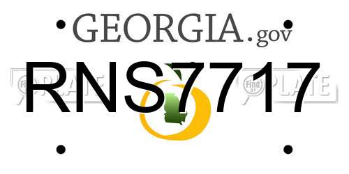 RNS7717 Georgia License Plate