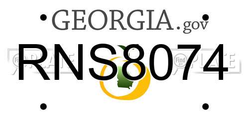 RNS8074 Georgia License Plate