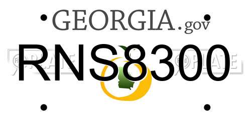 RNS8300 Georgia License Plate
