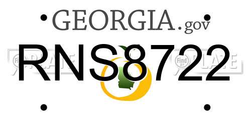 RNS8722 Georgia License Plate