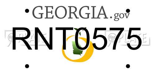 RNT0575 Georgia License Plate