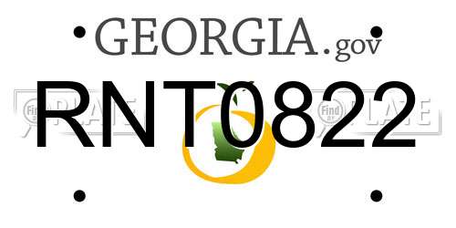 RNT0822 Georgia License Plate