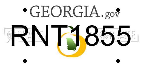RNT1855 Georgia License Plate