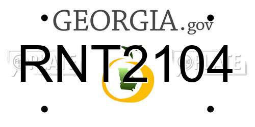 RNT2104 Georgia License Plate