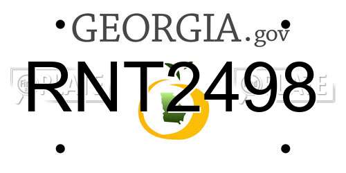 RNT2498 Georgia License Plate