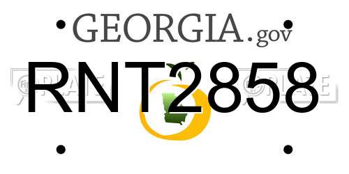 RNT2858 Georgia License Plate