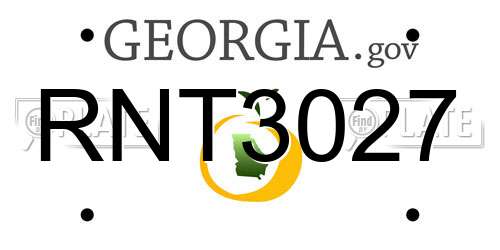 RNT3027 Georgia License Plate