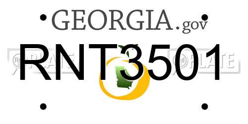 RNT3501 Georgia License Plate