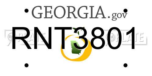 RNT3801 Georgia License Plate