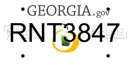 RNT3847 Georgia License Plate