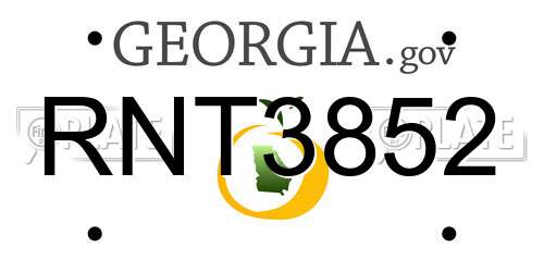 RNT3852 Georgia License Plate