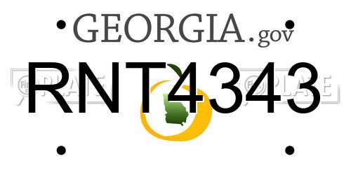 RNT4343 Georgia License Plate