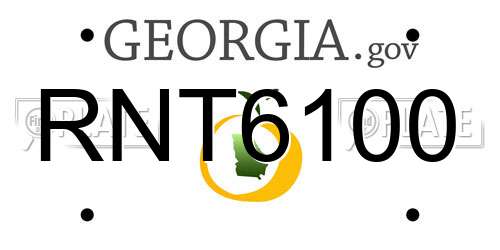 RNT6100 Georgia License Plate