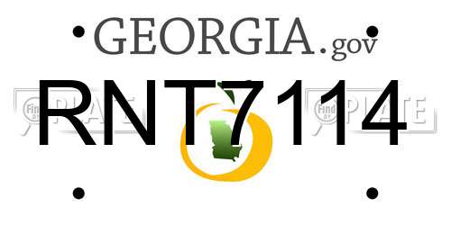 RNT7114 Georgia License Plate