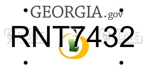 RNT7432 Georgia License Plate