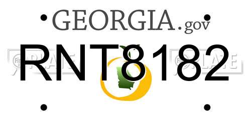 RNT8182 Georgia License Plate