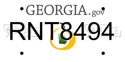 RNT8494 Georgia License Plate