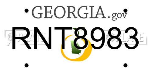 RNT8983 Georgia License Plate