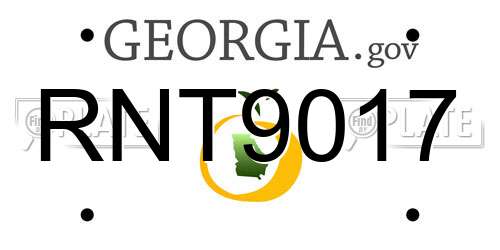 RNT9017 Georgia License Plate