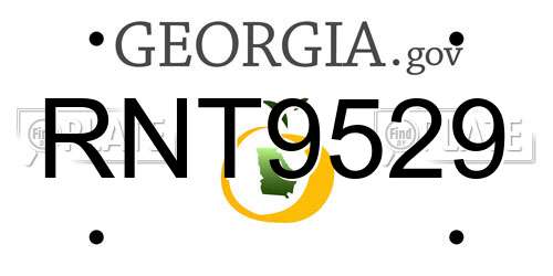 RNT9529 Georgia License Plate