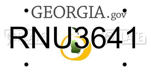 RNU3641 Georgia License Plate