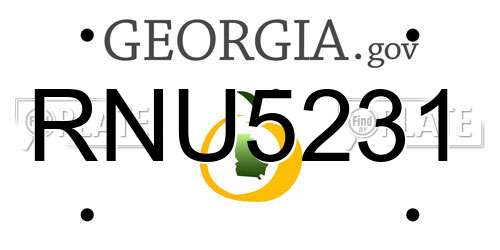 RNU5231 Georgia License Plate