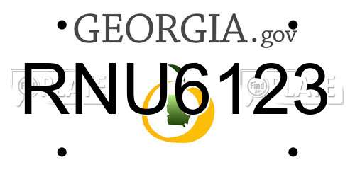RNU6123 Georgia License Plate
