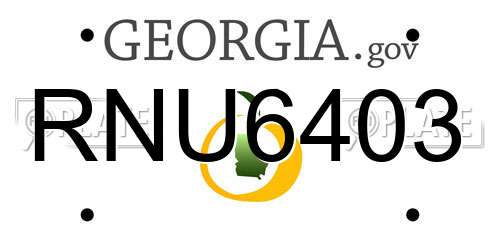 RNU6403 Georgia License Plate